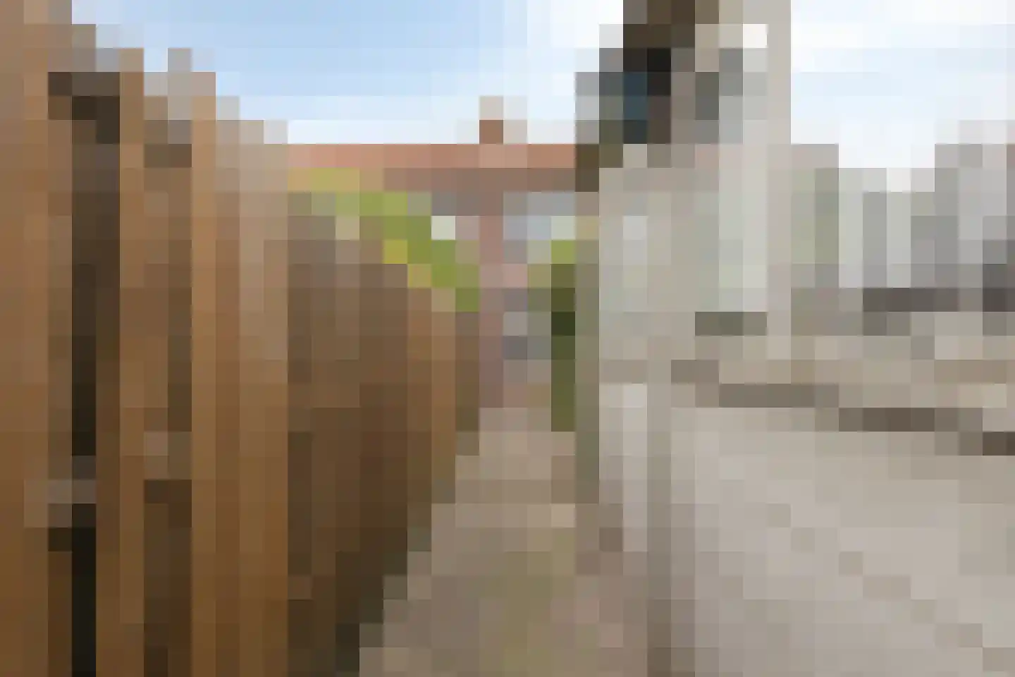 Burgemeester van Poppelstraat 103 Gilze thumbnail 37