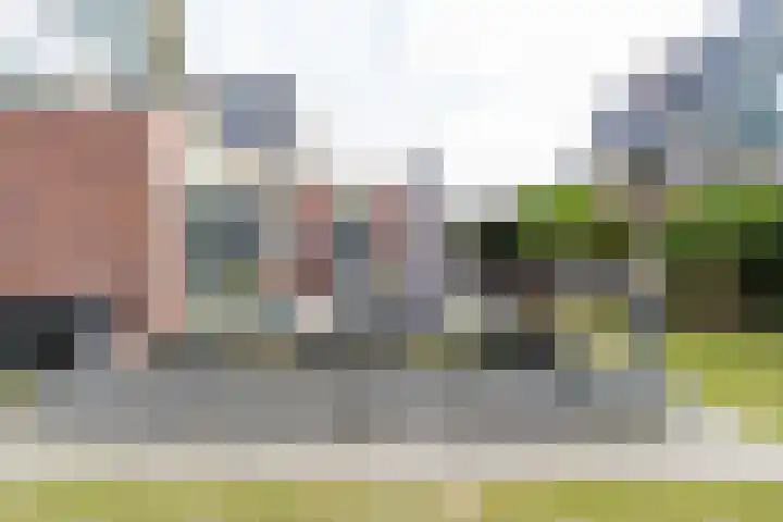 Burgemeester van Randwijckstraat 35 Rossum thumbnail 42