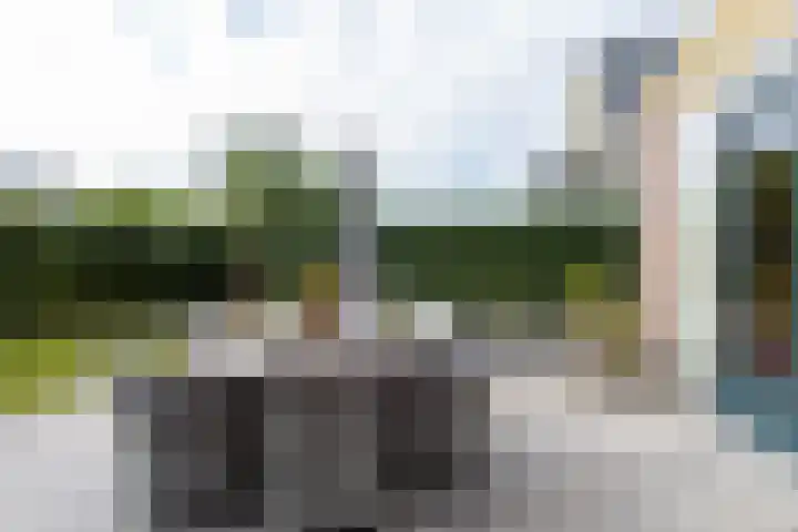 Burgemeester van Randwijckstraat 35 Rossum thumbnail 44
