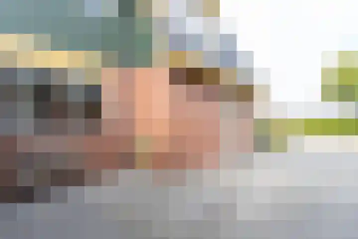 Burgemeester van Randwijckstraat 35 Rossum thumbnail 57