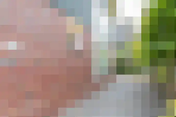 Burgemeester van Randwijckstraat 35 Rossum thumbnail 58