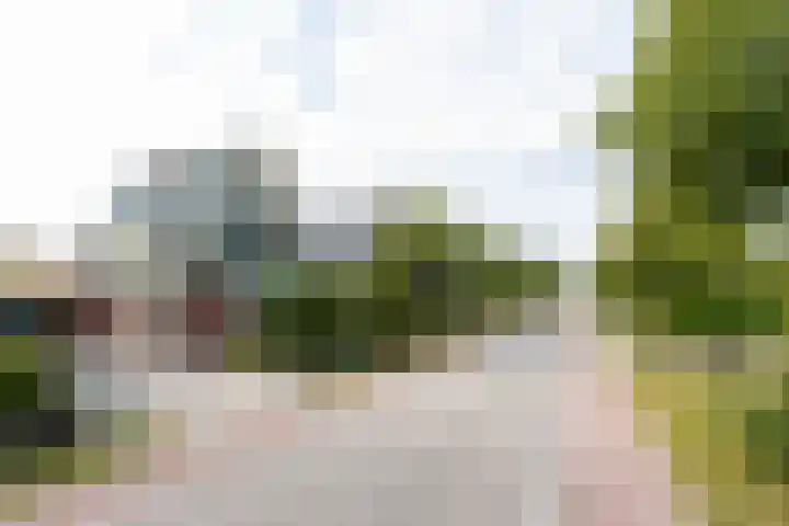 Burgemeester van Randwijckstraat 35 Rossum thumbnail 61