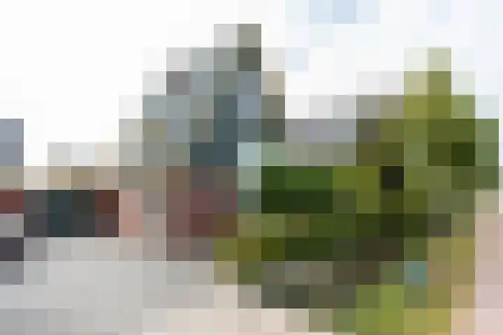 Burgemeester van Randwijckstraat 35 Rossum thumbnail 66