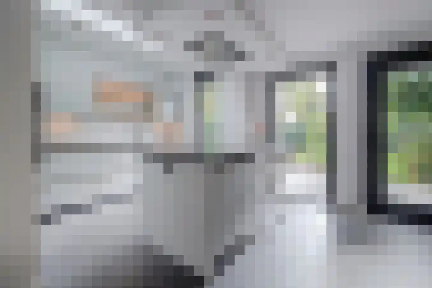 Burgemeester van Randwijckstraat 42 Rossum thumbnail 22