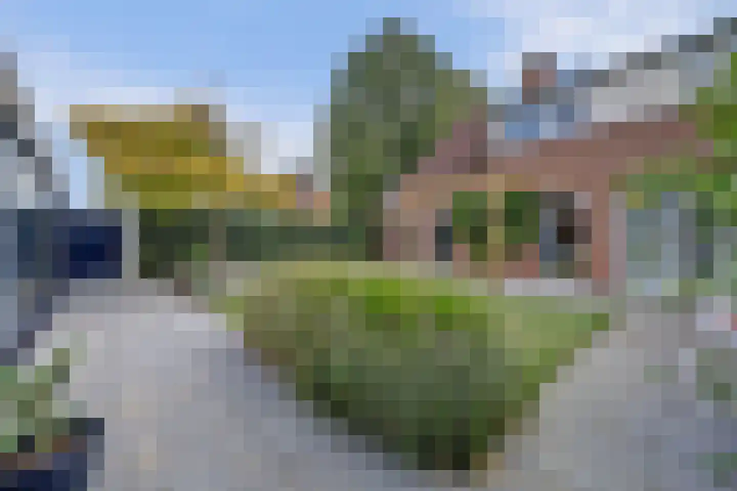 Burgemeester van Randwijckstraat 42 Rossum thumbnail 54