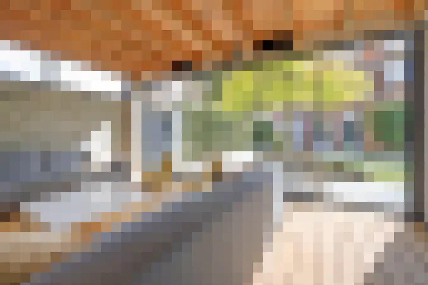 Burgemeester van Randwijckstraat 42 Rossum thumbnail 59