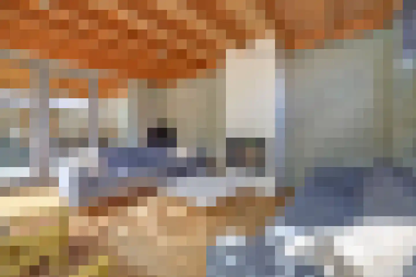 Burgemeester van Randwijckstraat 42 Rossum thumbnail 60