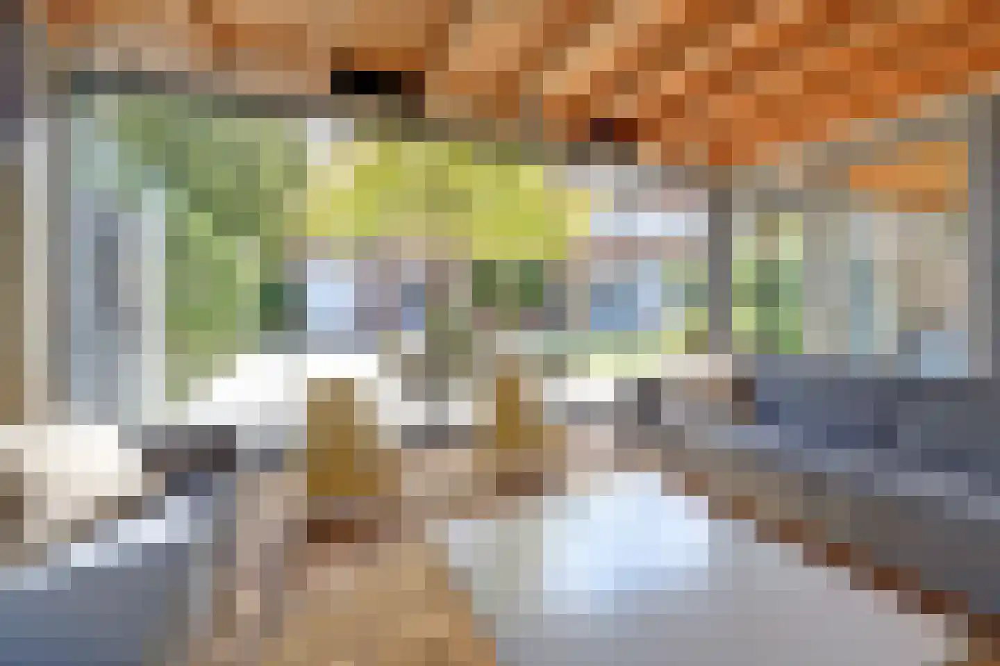 Burgemeester van Randwijckstraat 42 Rossum thumbnail 61