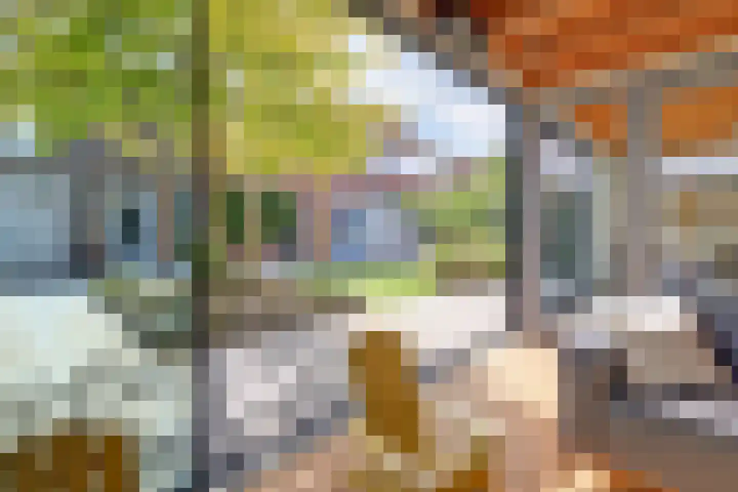 Burgemeester van Randwijckstraat 42 Rossum thumbnail 62