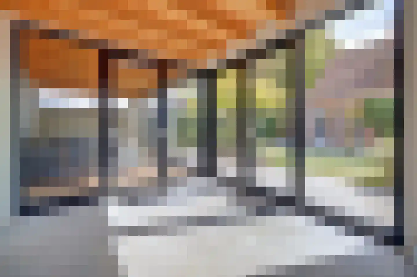 Burgemeester van Randwijckstraat 42 Rossum thumbnail 63
