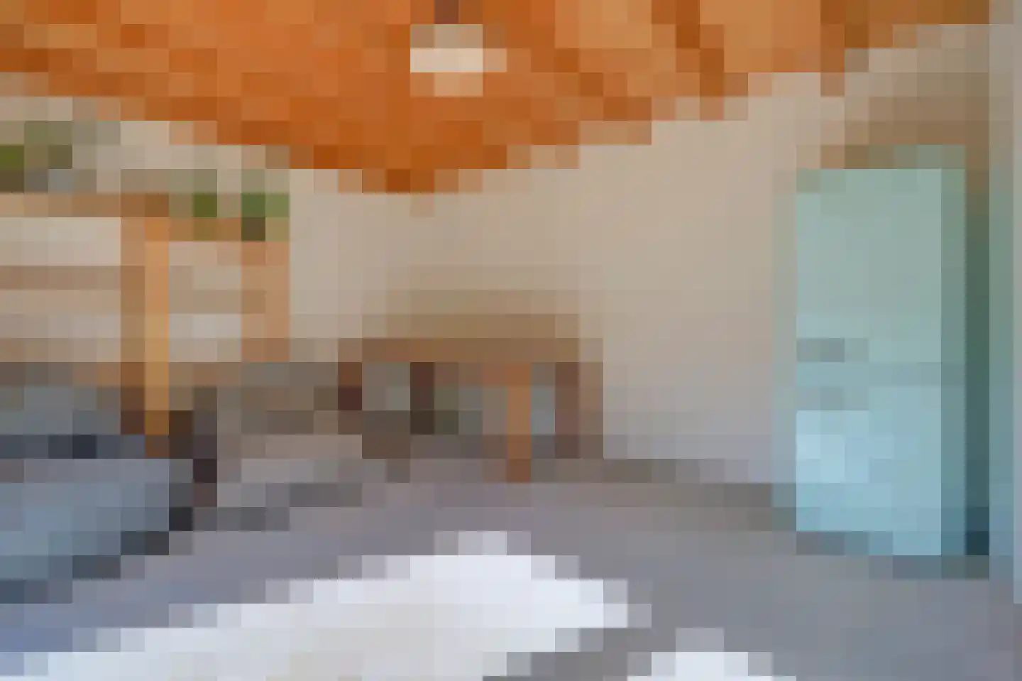 Burgemeester van Randwijckstraat 42 Rossum thumbnail 64