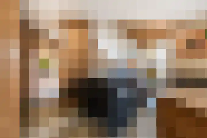 Burgemeester van Randwijckstraat 44 Rossum thumbnail 12