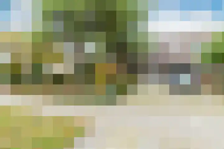 Burgemeester van Randwijckstraat 44 Rossum thumbnail 6