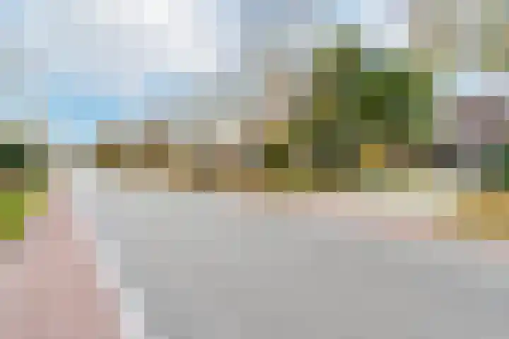 Burgemeester van Randwijckstraat 44 Rossum thumbnail 64