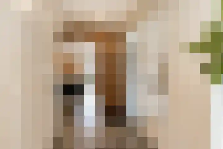Burgemeester van Randwijckstraat 44 Rossum thumbnail 9