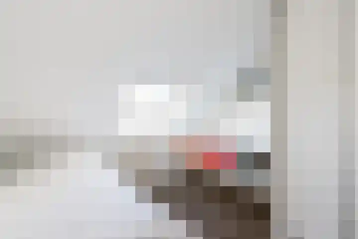 Burgemeester van Randwijckstraat 48 Rossum thumbnail 33