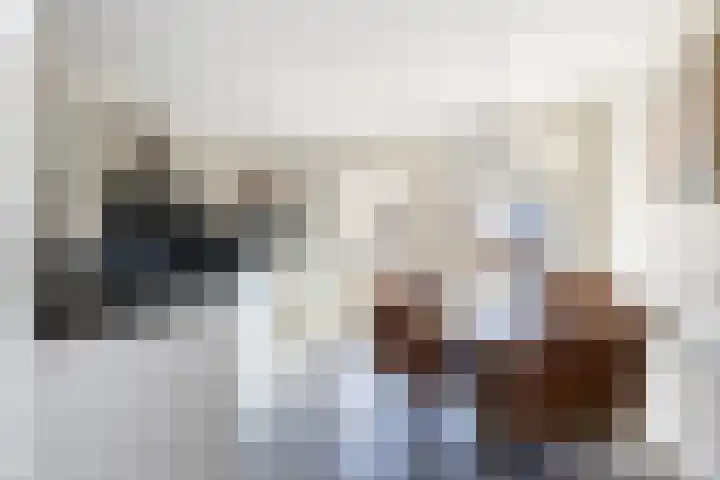 Burgemeester van Randwijckstraat 48 Rossum thumbnail 9
