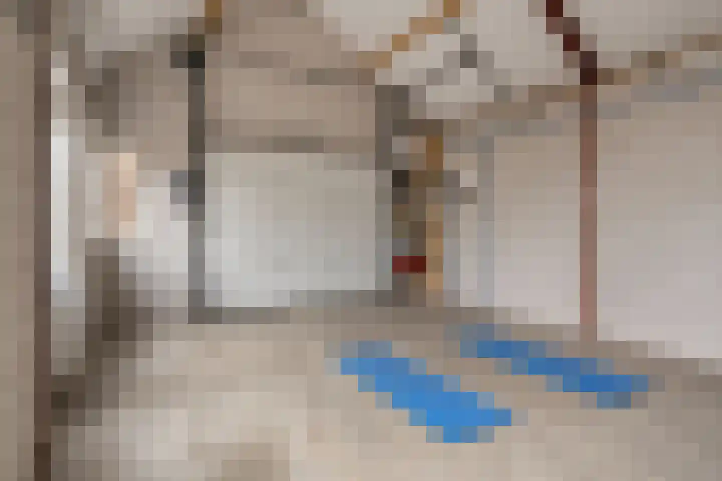 Burgemeester van Randwijckstraat 66 Rossum thumbnail 4