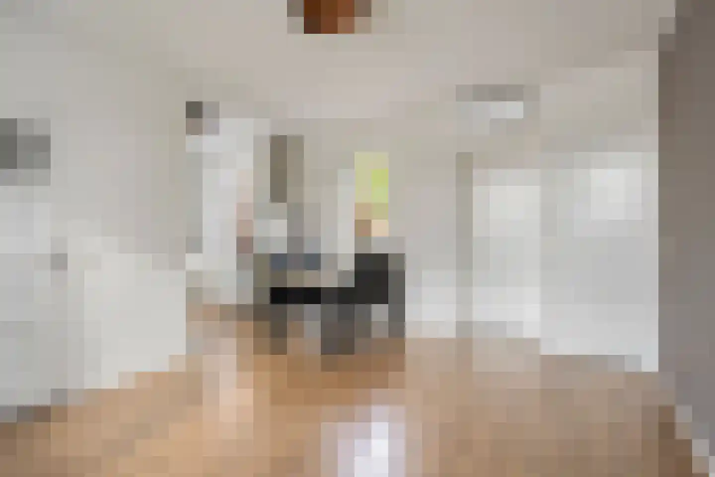 Burgemeester van Randwijckstraat 66 Rossum thumbnail 6