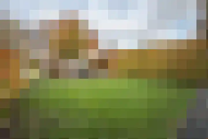 Burgemeester van Rietstraat 16 Haelen thumbnail 28