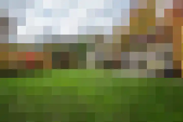 Burgemeester van Rietstraat 16 Haelen thumbnail 29