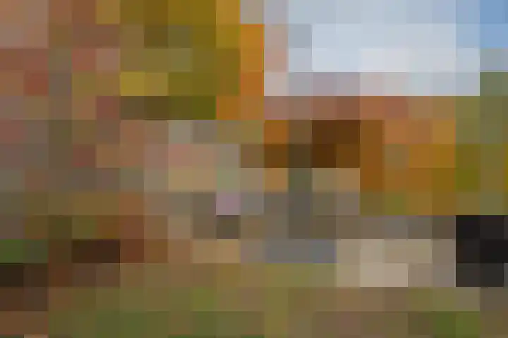 Burgemeester van Rietstraat 16 Haelen thumbnail 33