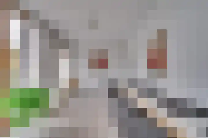 Burgemeester van Rijnsingel 2 G Venlo thumbnail 35