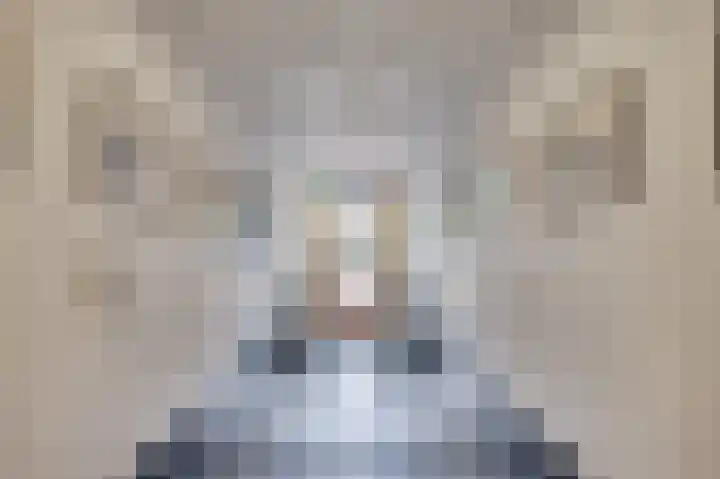 Burgemeester van Rijnsingel 2 G Venlo thumbnail 8