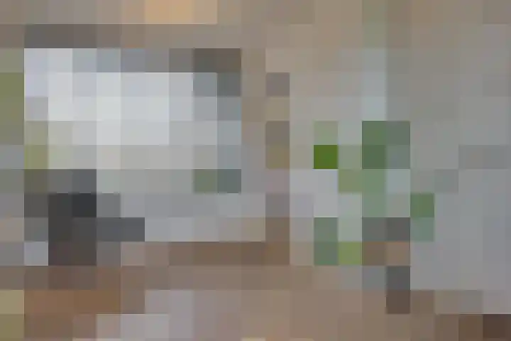 Burgemeester van Rijswijkstraat 3 Woudrichem thumbnail 10