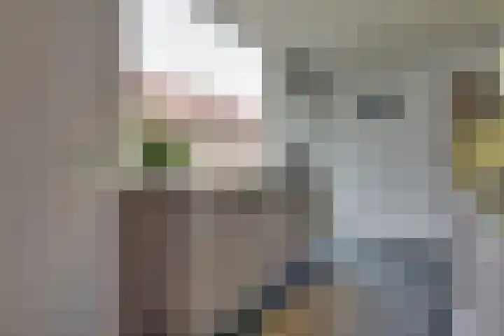 Burgemeester van Rijswijkstraat 3 Woudrichem thumbnail 13