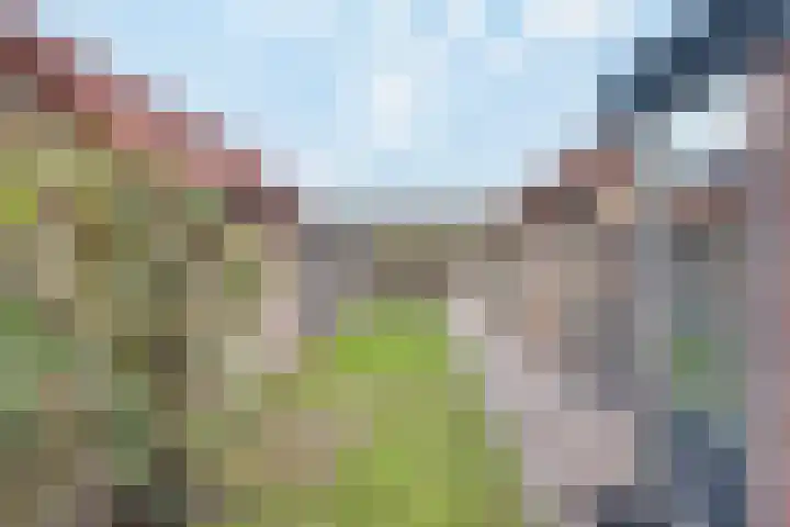 Burgemeester van Rijswijkstraat 3 Woudrichem thumbnail 29