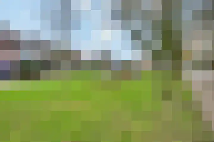Burgemeester van Rijswijkstraat 3 Woudrichem thumbnail 33