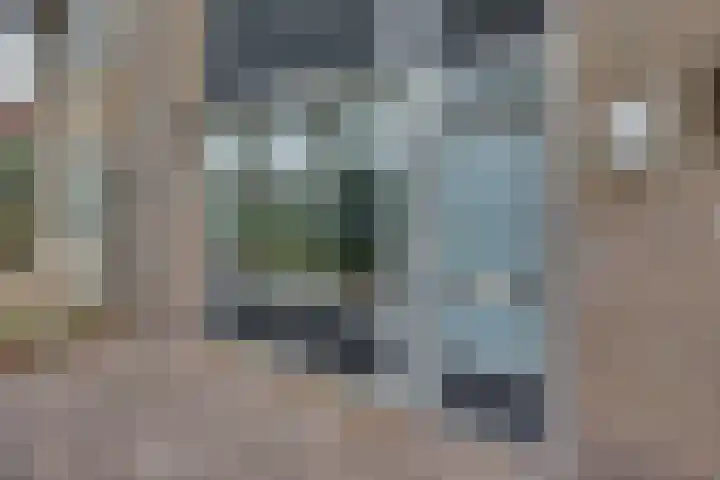 Burgemeester van Rijswijkstraat 3 Woudrichem thumbnail 5
