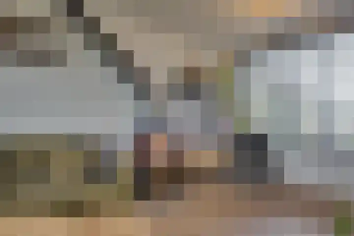 Burgemeester van Rijswijkstraat 3 Woudrichem thumbnail 9