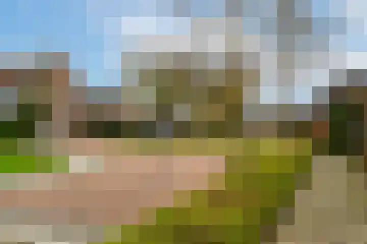 Burgemeester van Rijswijkstraat 65 Woudrichem thumbnail 33