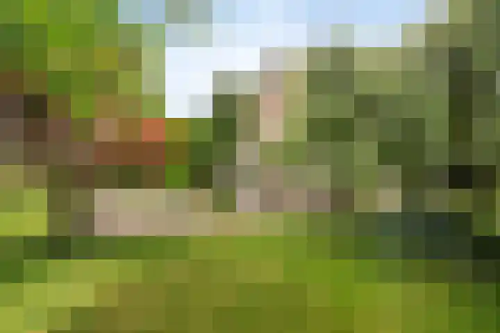 Burgemeester van Rijswijkstraat 8 Woudrichem thumbnail 35