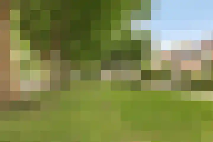 Burgemeester van Rijswijkstraat 8 Woudrichem thumbnail 5
