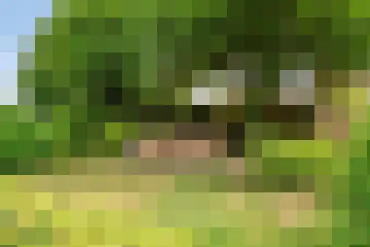 Burgemeester van Rijswijkstraat 8 Woudrichem thumbnail 7