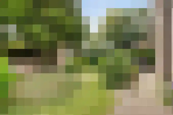 Burgemeester van Rijswijkstraat 8 Woudrichem thumbnail 8