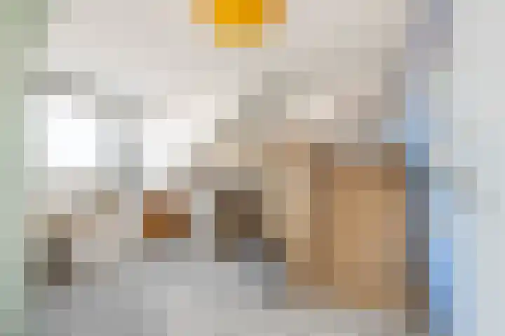 Burgemeester van Roosmalenstraat 24 Uitgeest thumbnail 30