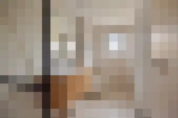 Burgemeester van Roosmalenstraat 29 Uitgeest thumbnail 20