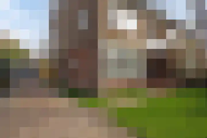 Burgemeester van Roosmalenstraat 29 Uitgeest thumbnail 34