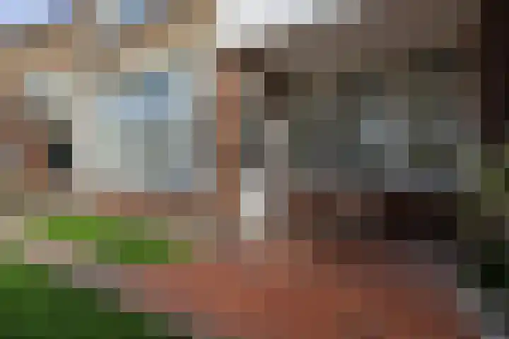Burgemeester van Roosmalenstraat 29 Uitgeest thumbnail 35