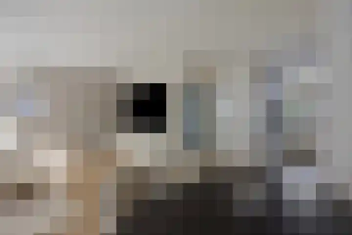 Burgemeester van Roosmalenstraat 29 Uitgeest thumbnail 5