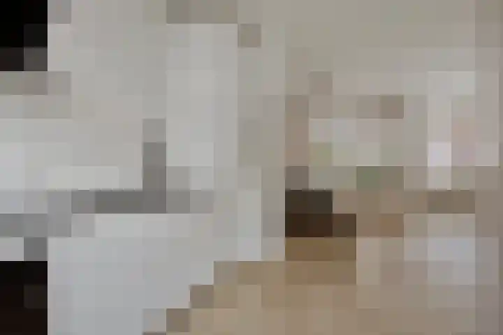 Burgemeester van Roosmalenstraat 29 Uitgeest thumbnail 6
