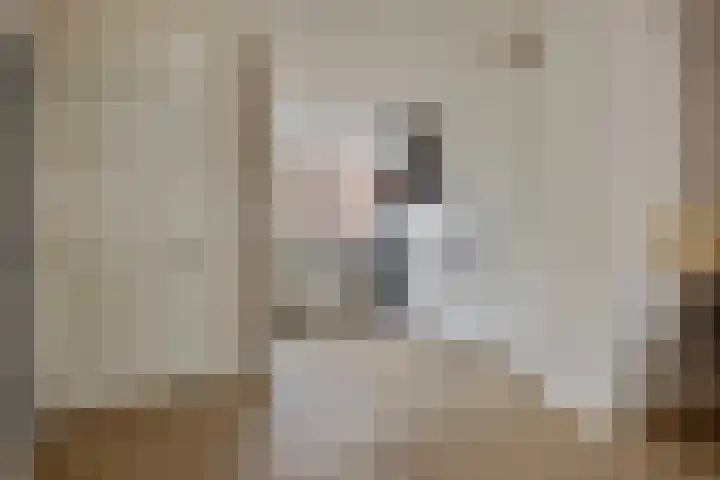 Burgemeester van Roosmalenstraat 29 Uitgeest thumbnail 7