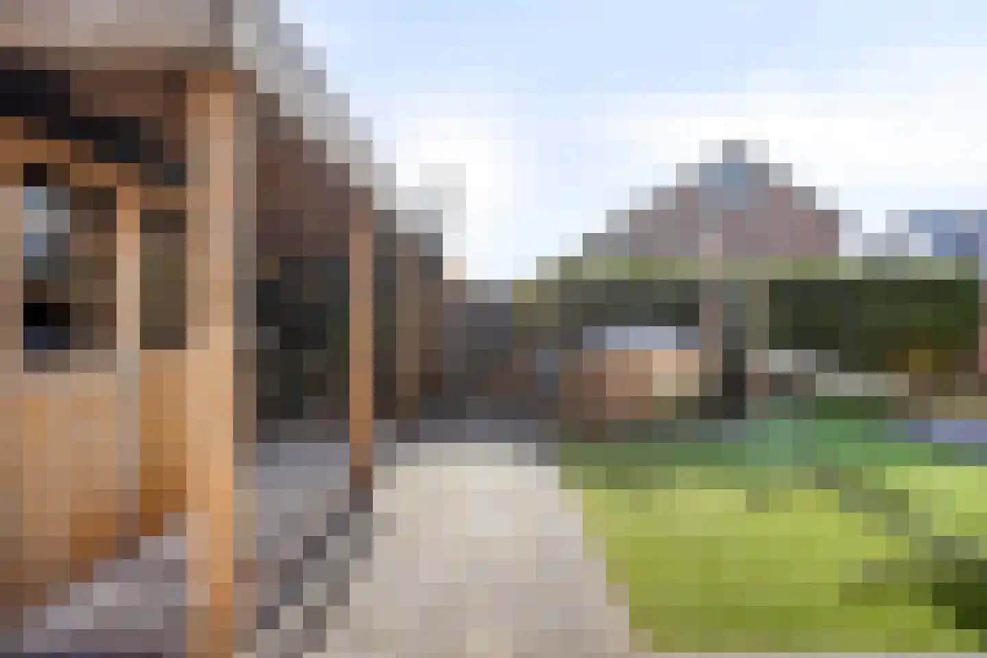 Burgemeester van Roosmalenstraat 31 Uitgeest thumbnail 42