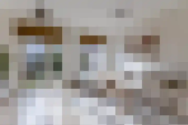 Burgemeester van Roosmalenstraat 6 Uitgeest thumbnail 13