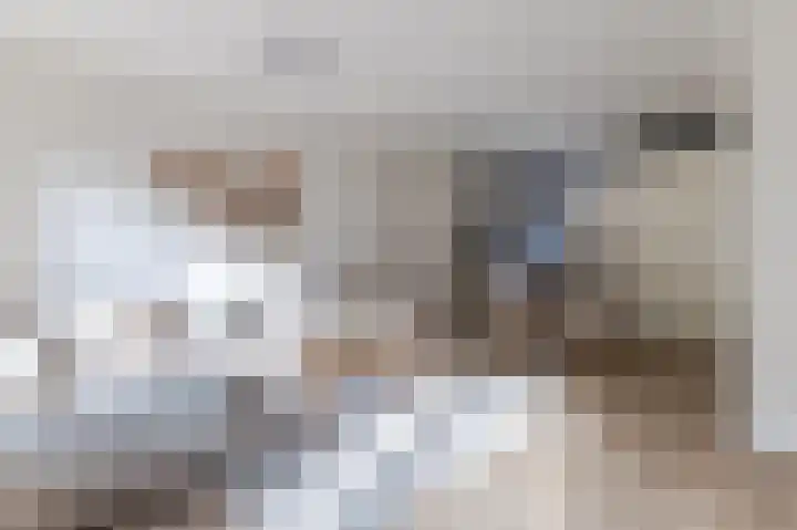 Burgemeester van Roosmalenstraat 6 Uitgeest thumbnail 14