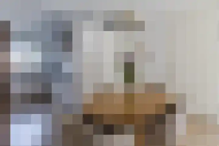 Burgemeester van Roosmalenstraat 6 Uitgeest thumbnail 16